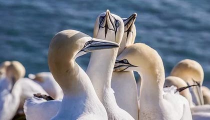 fb体育官网入口-东亚杯中国足球惨败 球员状态不稳定，东亚杯中国队