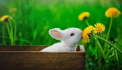 fb体育注册网址-VALORANT 选手竞技状态持续火爆，valorant战绩