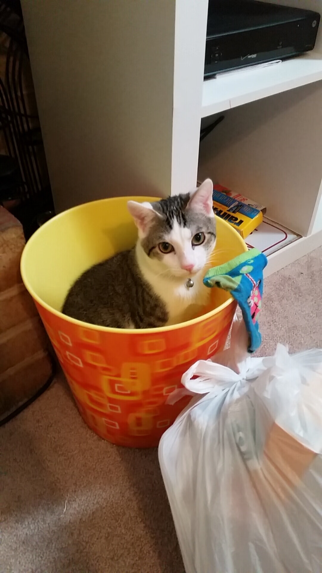 fb体育试玩-湖人主场狂胜戴维斯砍下三十六，戴维斯湖人首秀对阵勇士