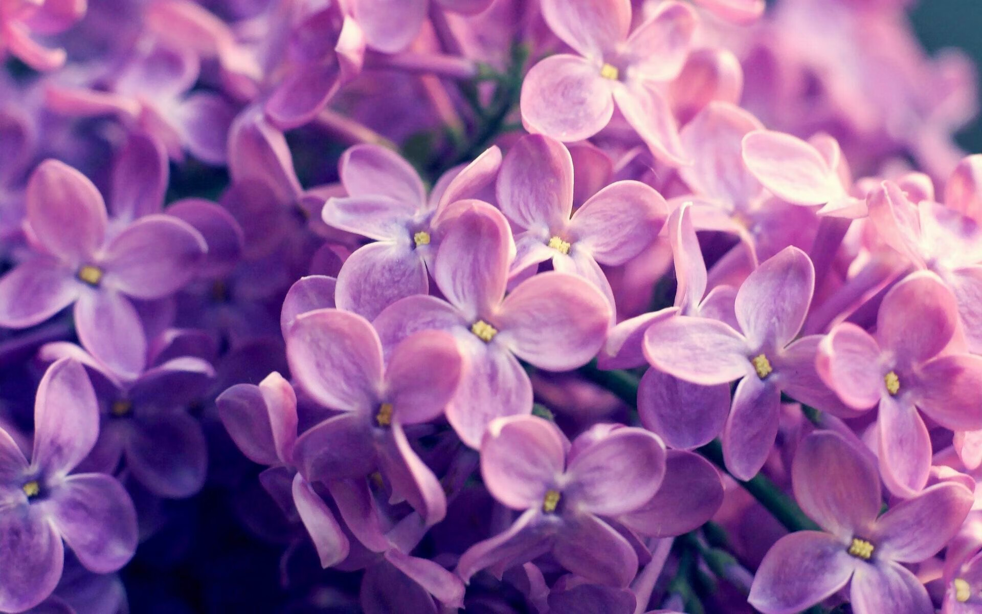 fb体育-前腰下沉组织串联攻防节奏，前腰组织进攻