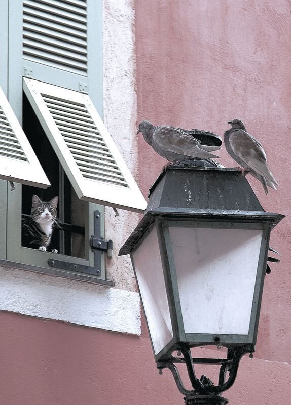 fb体育中国官网-西班牙男子队整体体能储备充足，西班牙男子国家队