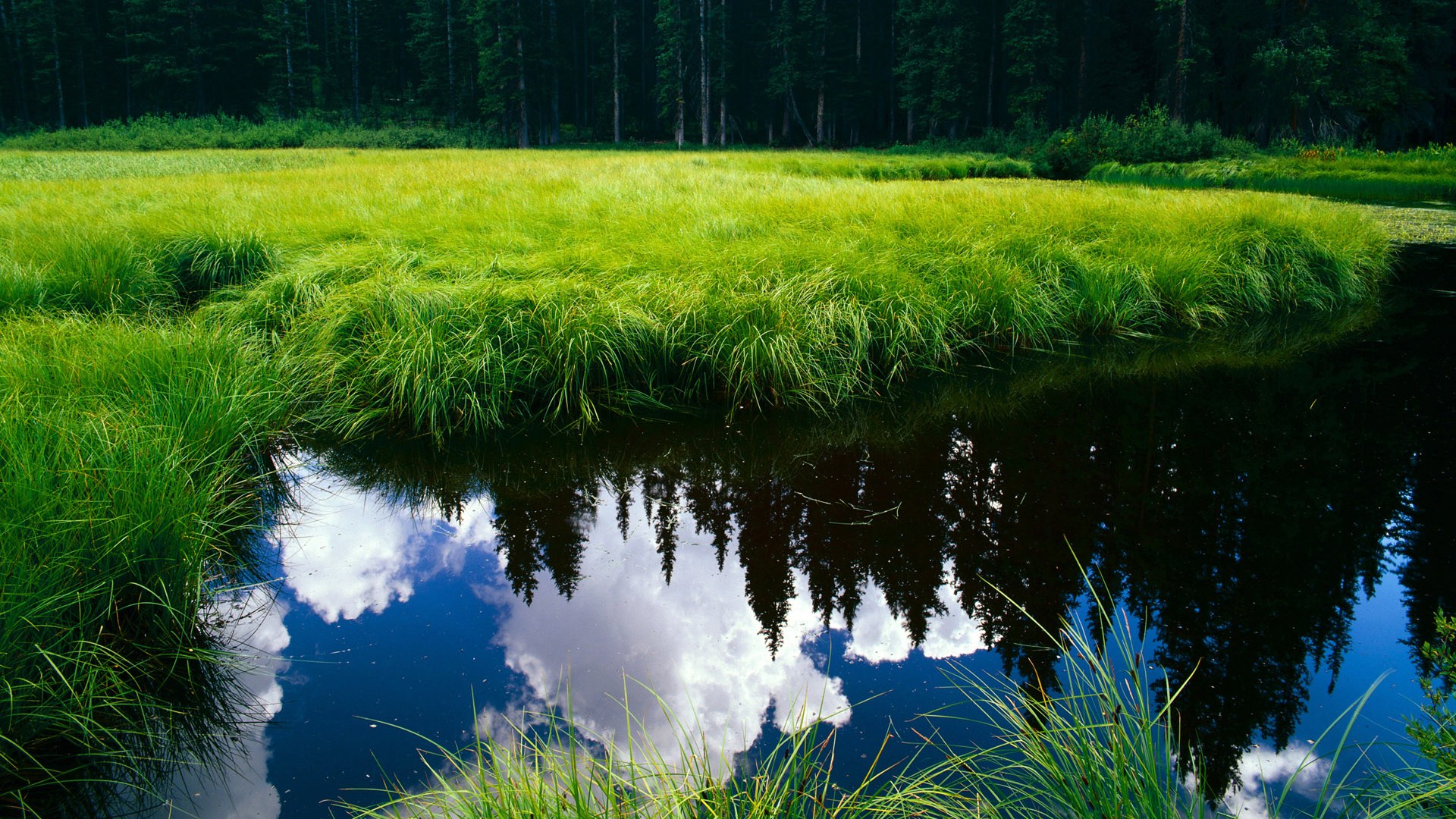 足球训练引入区域联防数据模型，足球区域防守战术