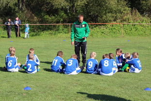 fb体育注册网址-德甲客场战术大公开，德甲打法