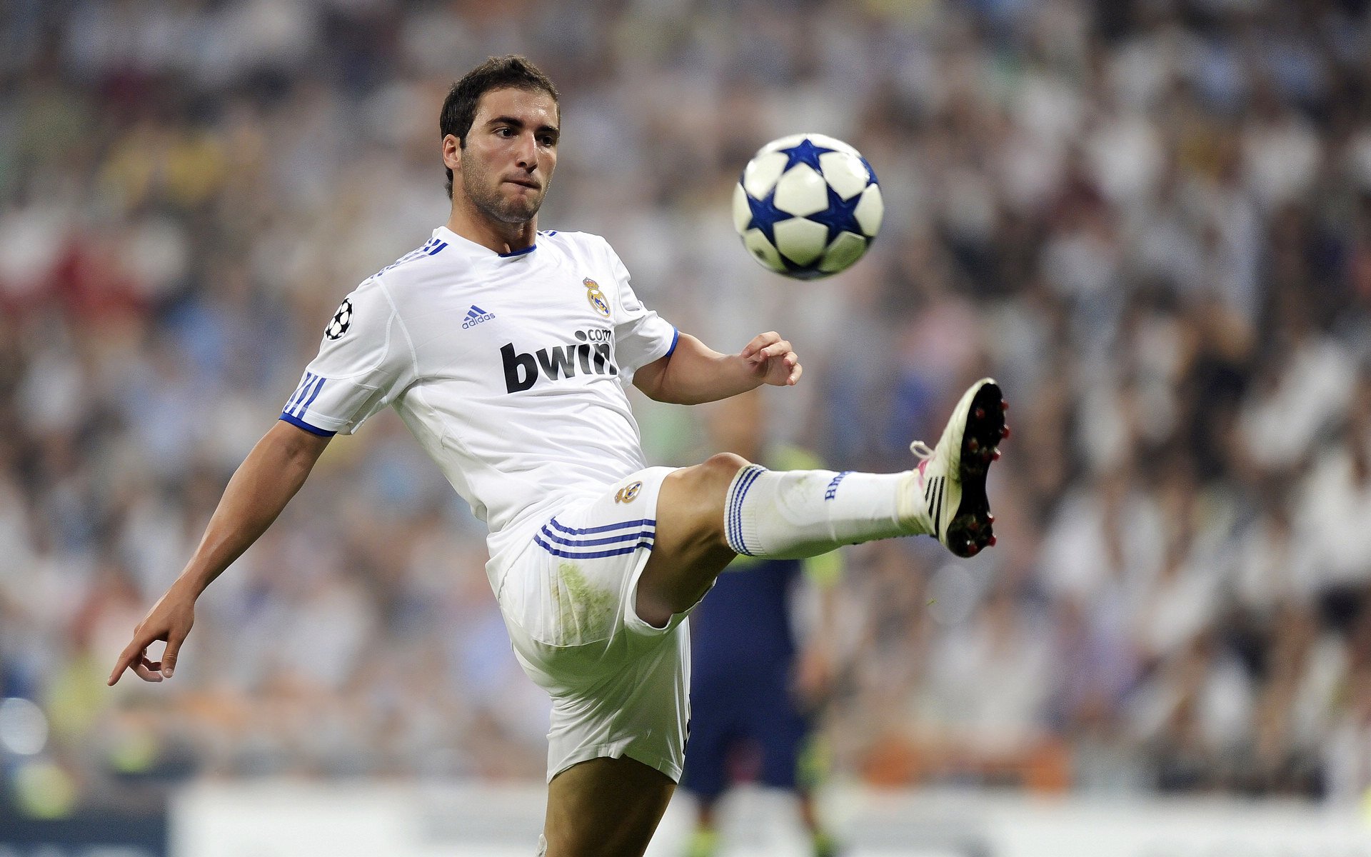 传统与未来：球队体系如何平衡“经验”与“潜力”？，球队类型